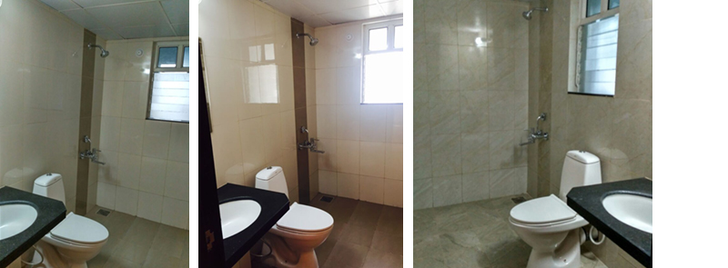 Flats in Hinjawadi Features Bathroom